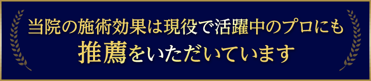 推薦をいただいています